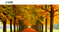Desktop Screenshot of c-suiteagenda.com